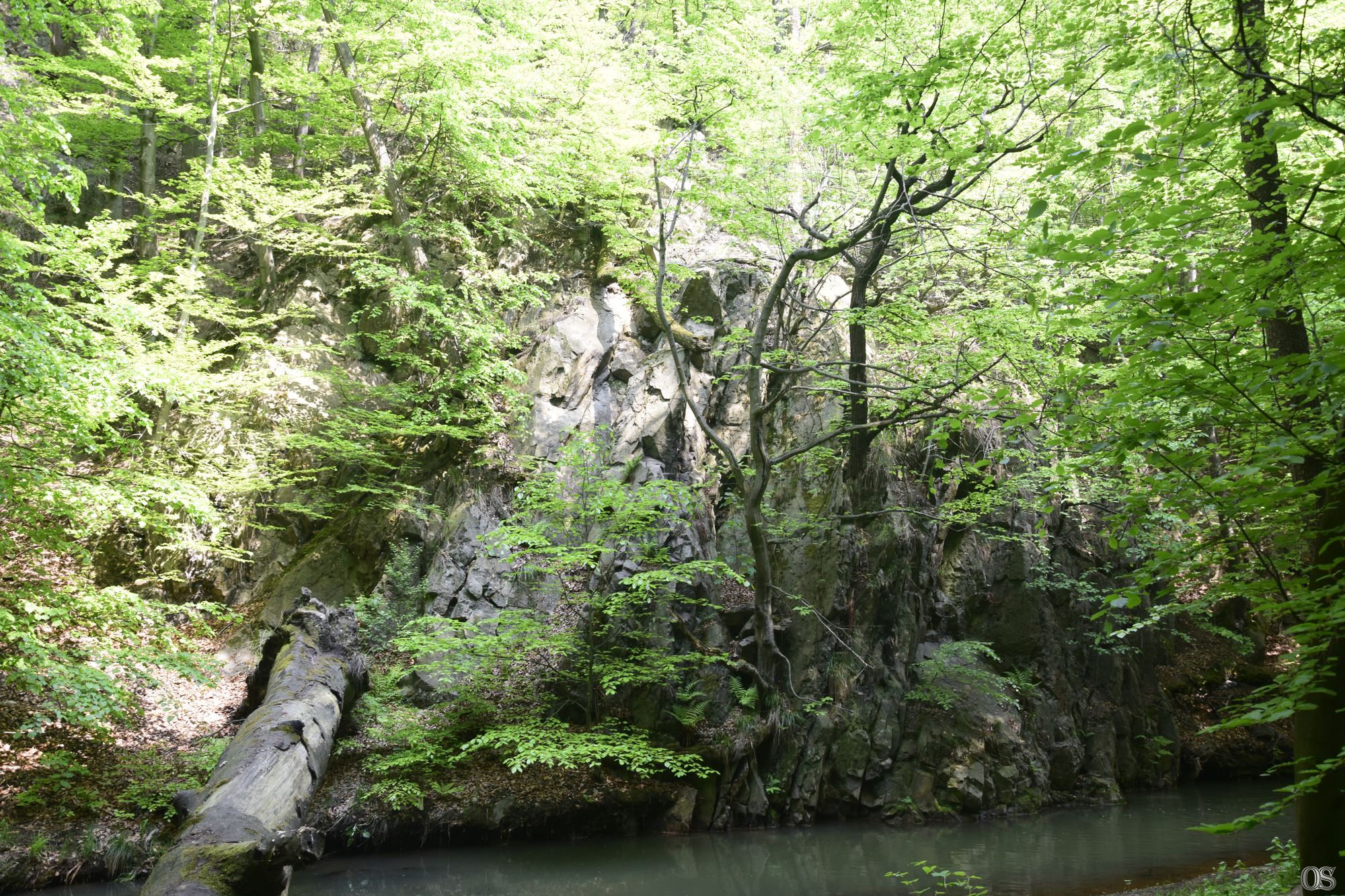 Sciezka Hochbergow 32.jpg